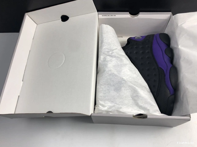 Purple Jordan Air Court DJ5982-015 13 1112